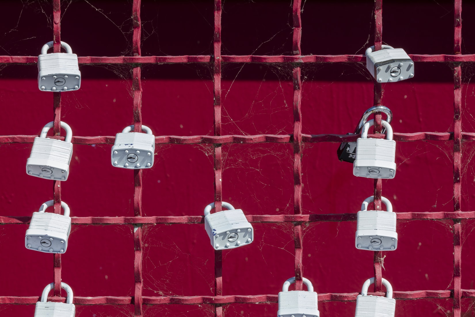 Cover Image for Improved Security and Performance with Read-only API Key and Cache